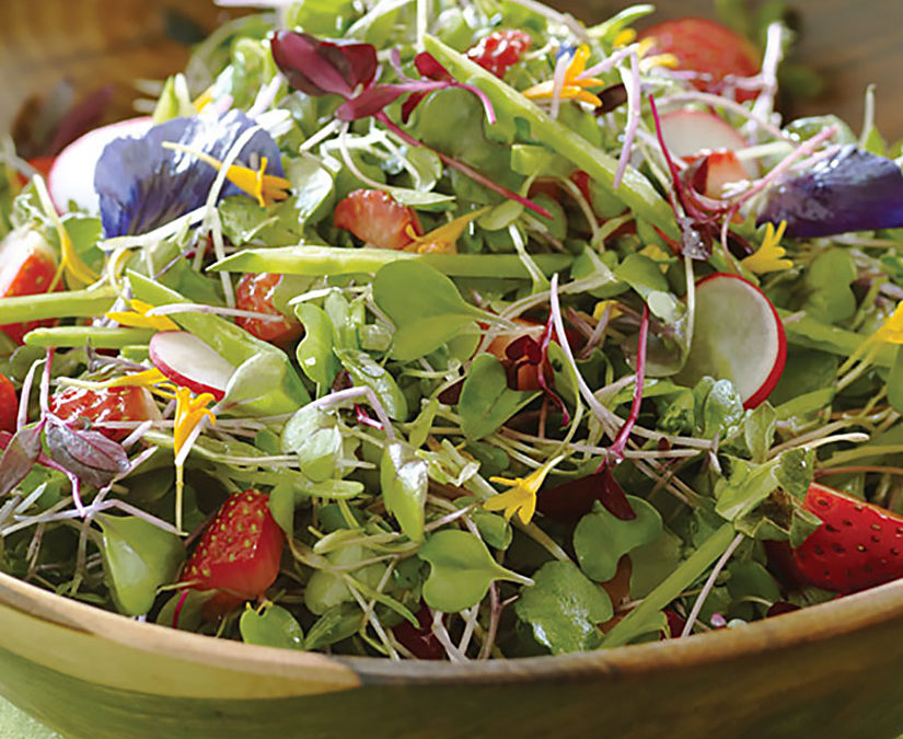 Microgreens Salad with Strawberry Vinaigrette