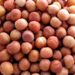 dry Speckled Pea seed for microgreen farming